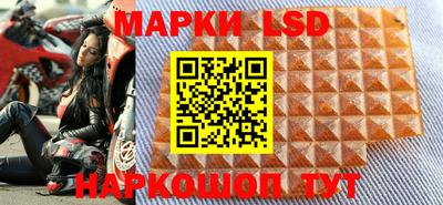 дурь Бердск