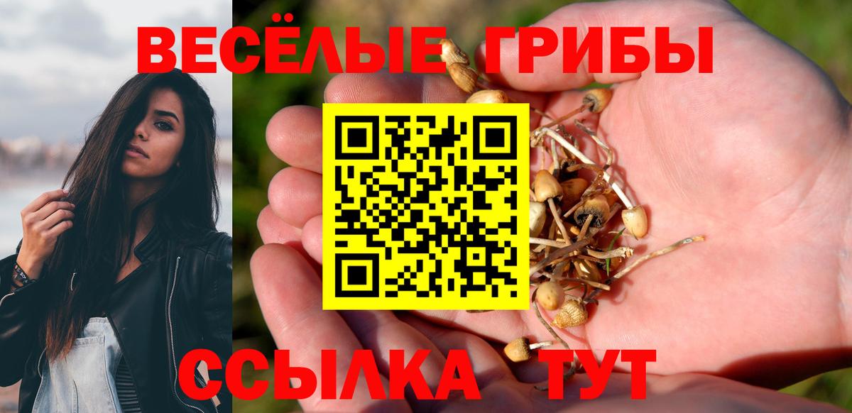 Ейск  Псилоцибиновые грибы GOLDEN TEACHER  Вход с VPN 